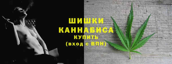 МДПВ Дмитров