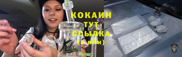 дживик Дмитриев