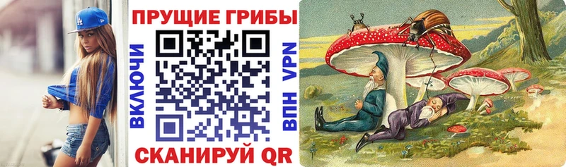 Купить  Буй  Псилоцибиновые грибы ЛСД 